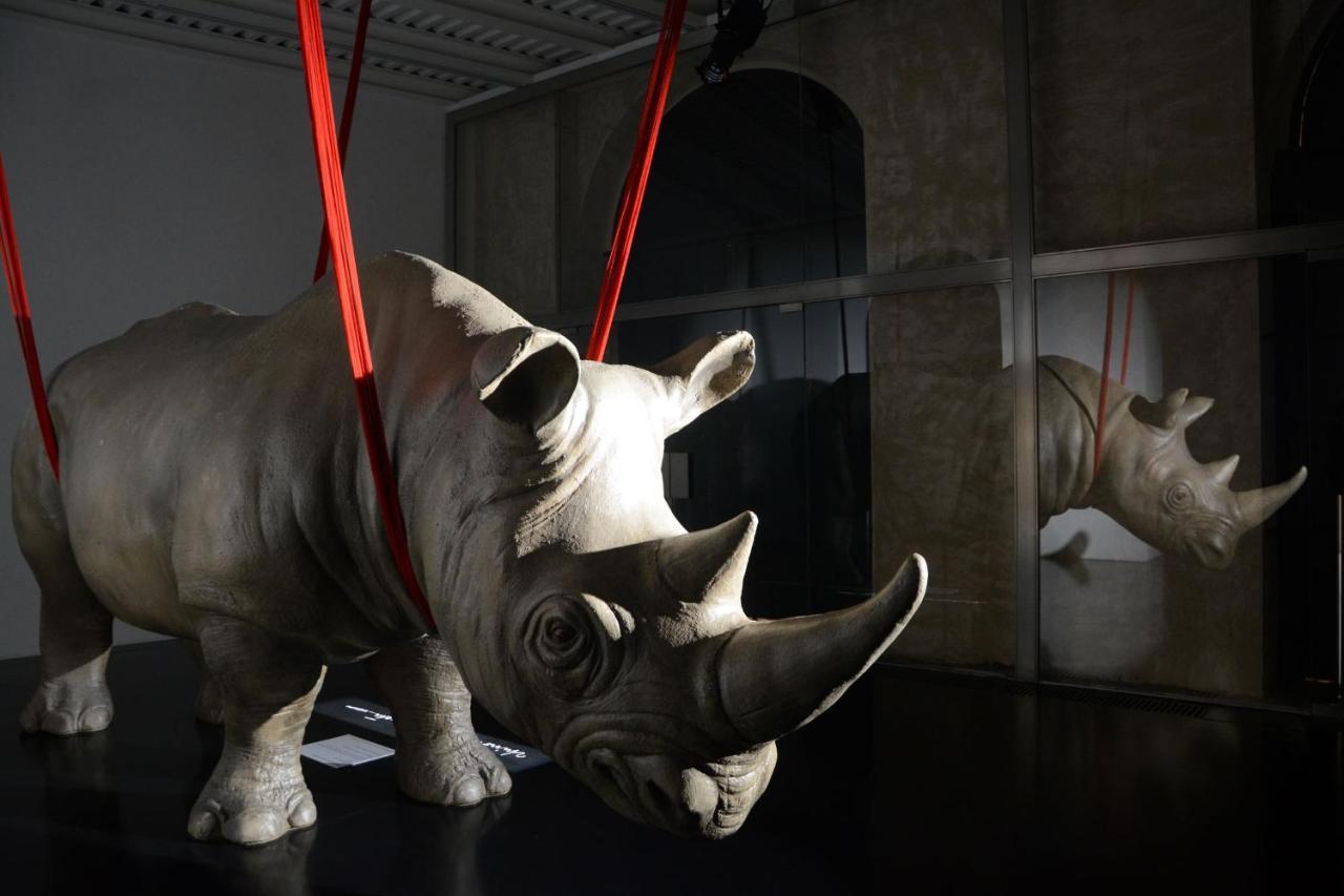 Aparthotel Rhinoceros Řím Exteriér fotografie